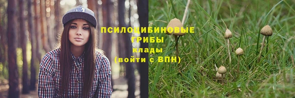 амф Алексеевка