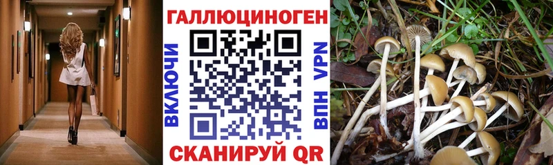Галлюциногенные грибы мицелий  Пикалёво 