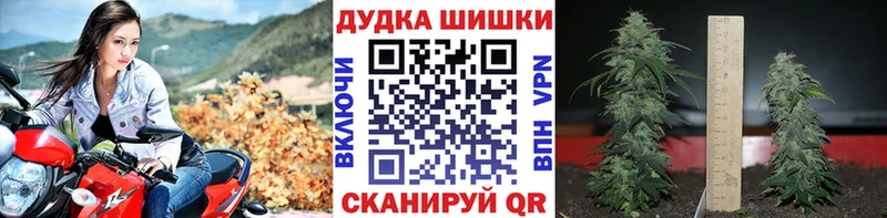Канабис ГИДРОПОН  Пикалёво 